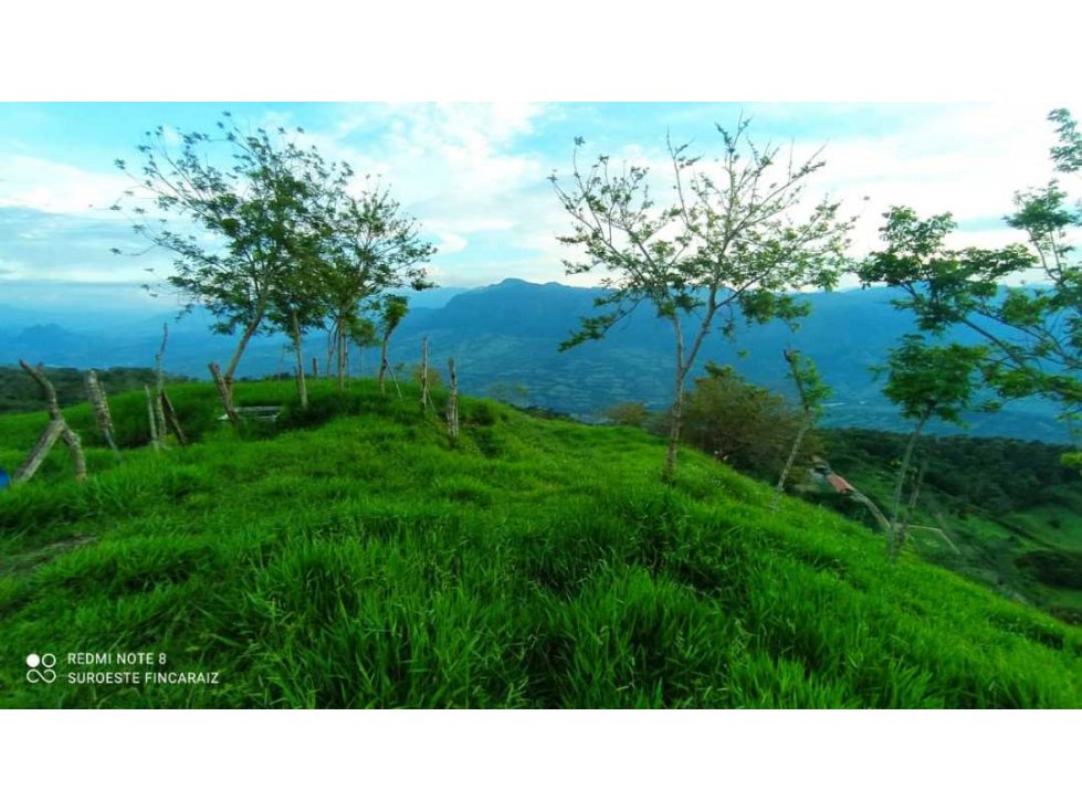 VENTA DE LOTE, FREDONIA SUROESTE ANTIOQUEÑO - 2