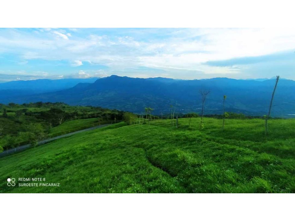 VENTA DE LOTE, FREDONIA SUROESTE ANTIOQUEÑO - 3