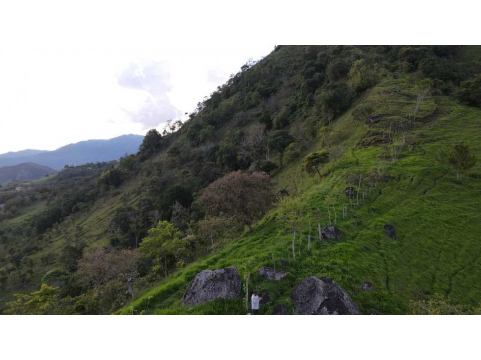 VENTA DE LOTE, FREDONIA SUROESTE ANTIOQUEÑO - 6