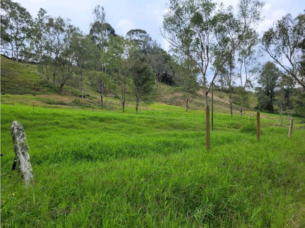Venta de Lote Ideal para dividir en 4 lotes de excelente Tamaño — foto 4