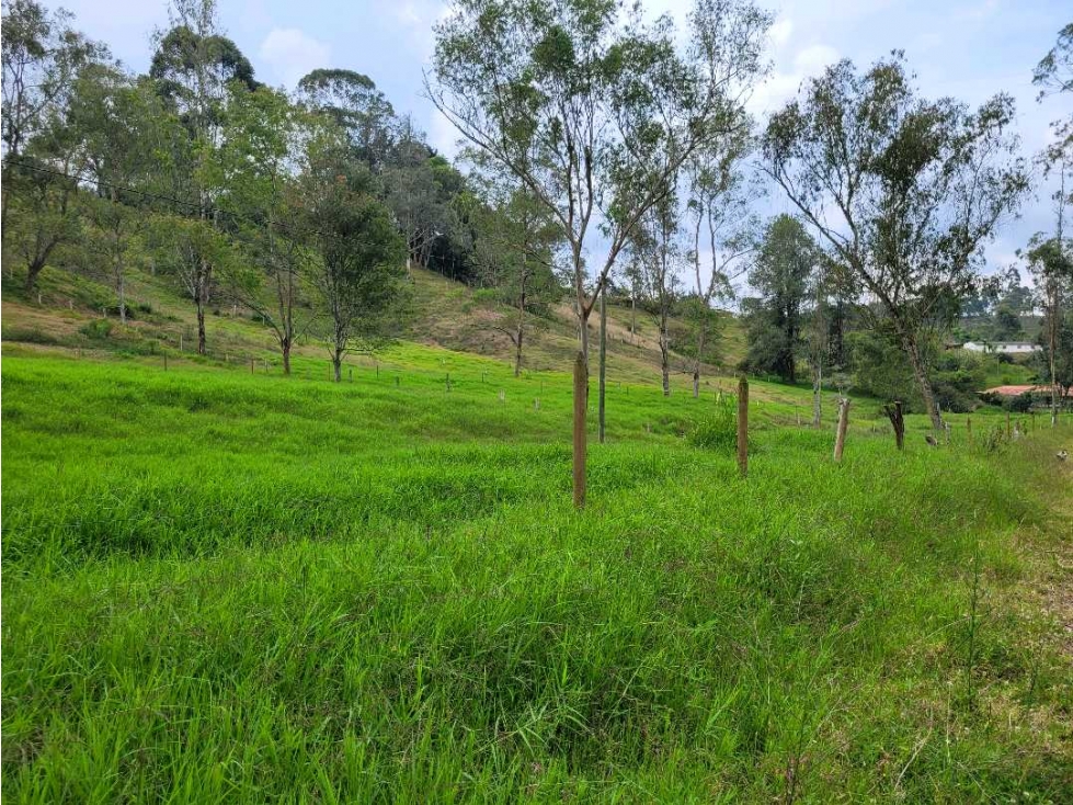 Venta de Lote Ideal para dividir en 4 lotes de excelente Tamaño — foto 2