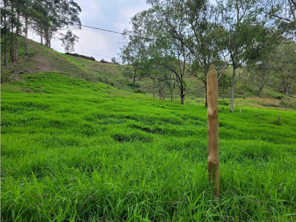 Venta de Lote Ideal para dividir en 4 lotes de excelente Tamaño — foto 5