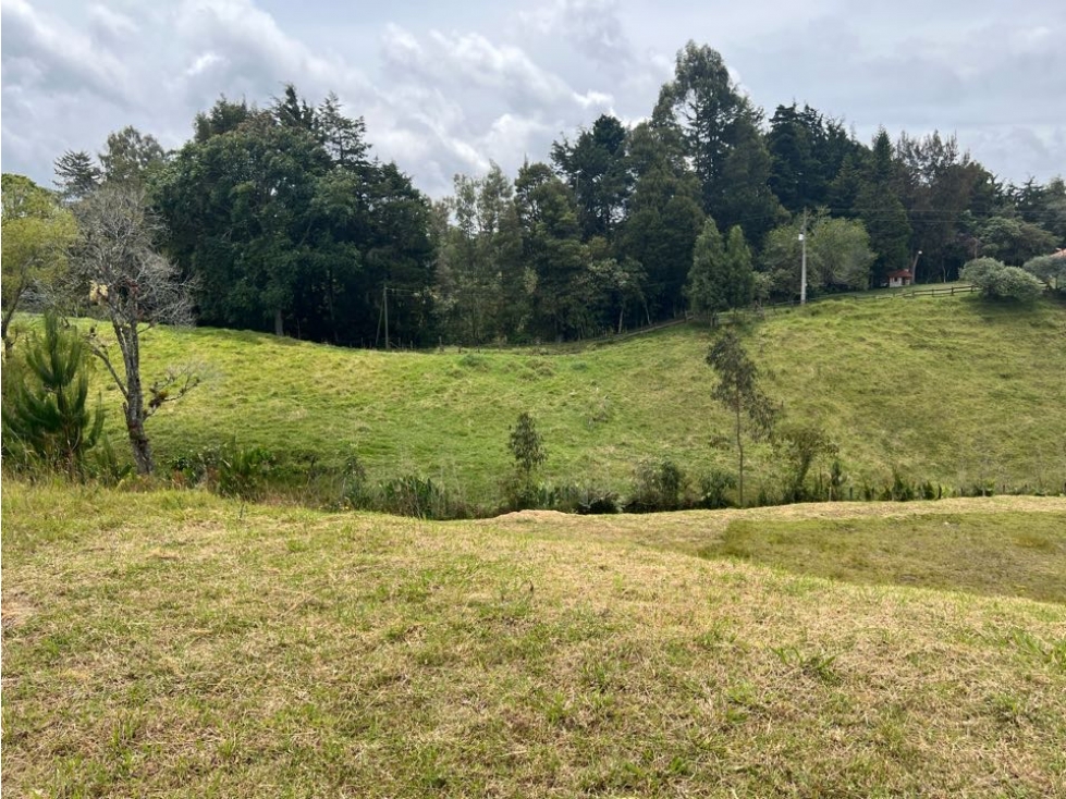 Venta de lote Independiente Alto de las palmas