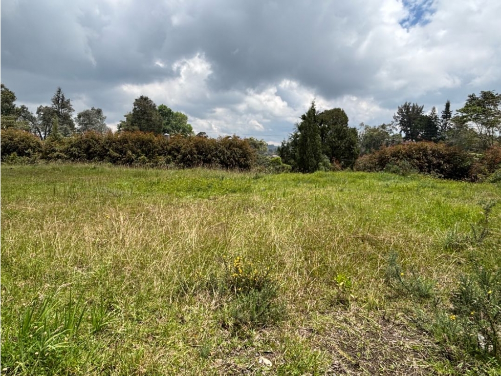 Venta de Lote Independiente Alto de Palmas por Mercajuste — foto 2