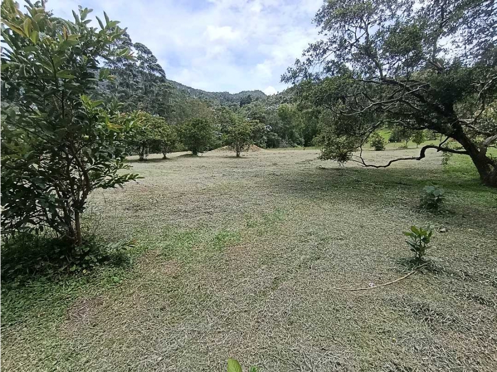VENTA LOTE INDEPENDIENTE DE 5.000m² EN EL TABLAZO RIONEGRO