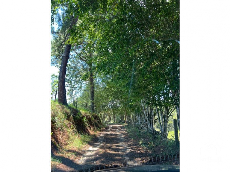 Venta de lote independiente en Llanogrande, la lucha