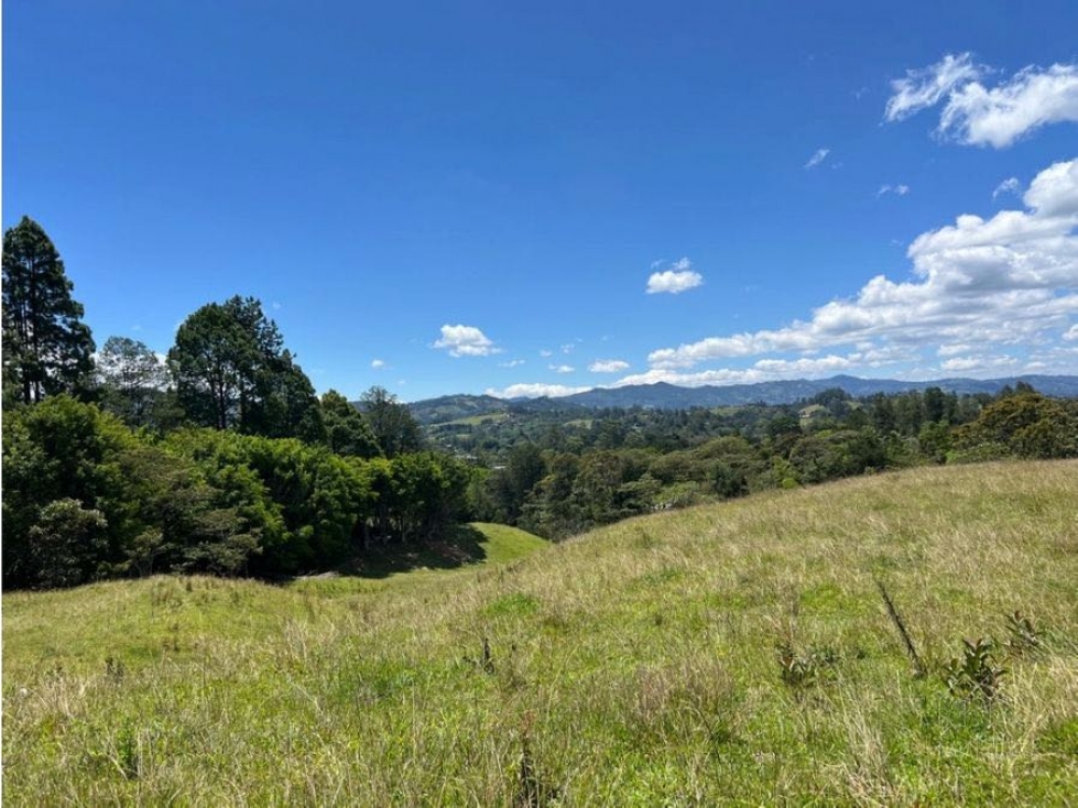 Venta de lote independiente en Llanogrande, la lucha — foto 3