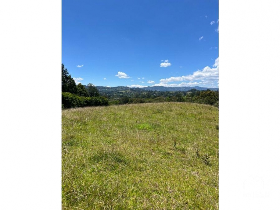 Venta de lote independiente en Llanogrande, la lucha — foto 4
