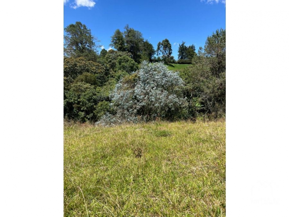 Venta de lote independiente en Llanogrande, la lucha — foto 5