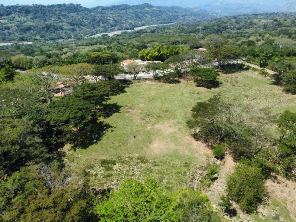 VENTA DE LOTE INDUSTRIAL LA PINTADA, SUROESTE ANTIOQUEÑO — foto 3