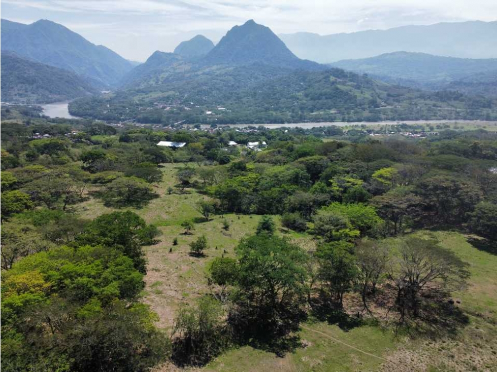 VENTA DE LOTE INDUSTRIAL LA PINTADA, SUROESTE ANTIOQUEÑO — foto 2