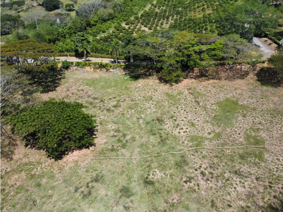 VENTA DE LOTE INDUSTRIAL LA PINTADA, SUROESTE ANTIOQUEÑO — foto 5