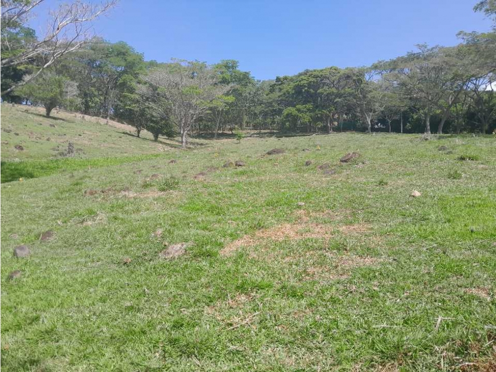 VENTA DE LOTE INDUSTRIAL LA PINTADA, SUROESTE ANTIOQUEÑO — foto 6