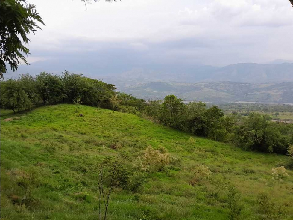 VENTA DE LOTE TAMESIS LA OCULTA, SUROESTE ANTIOQUEÑO - 1