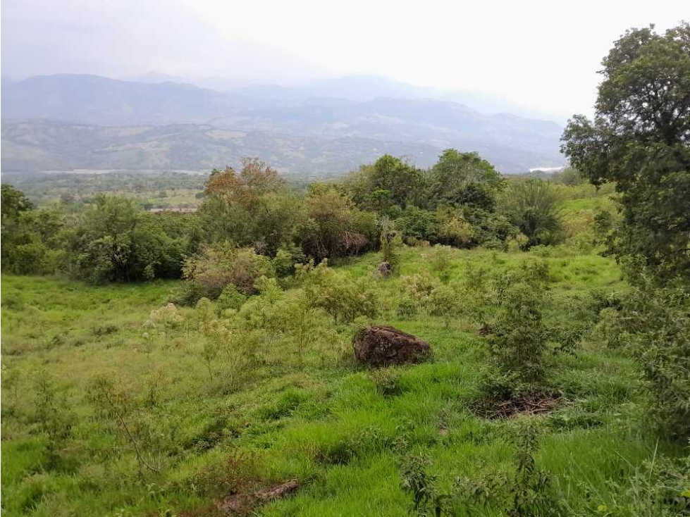 VENTA DE LOTE TAMESIS LA OCULTA, SUROESTE ANTIOQUEÑO - 2