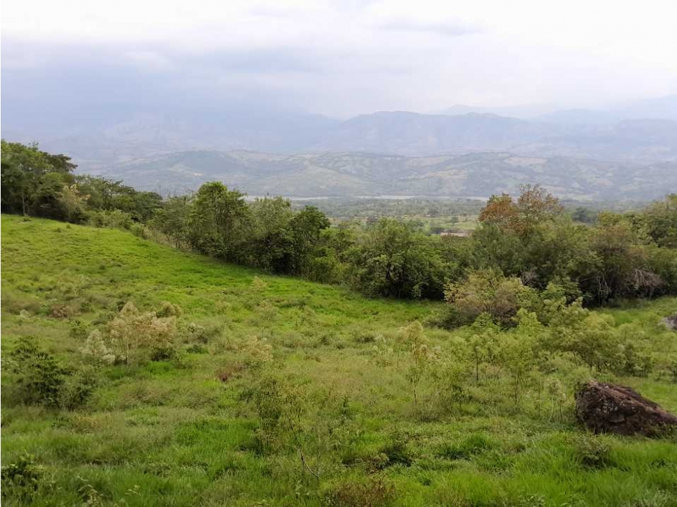 VENTA DE LOTE TAMESIS LA OCULTA, SUROESTE ANTIOQUEÑO - 3