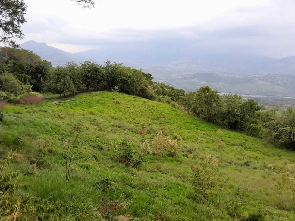 VENTA DE LOTE TAMESIS LA OCULTA, SUROESTE ANTIOQUEÑO - 4
