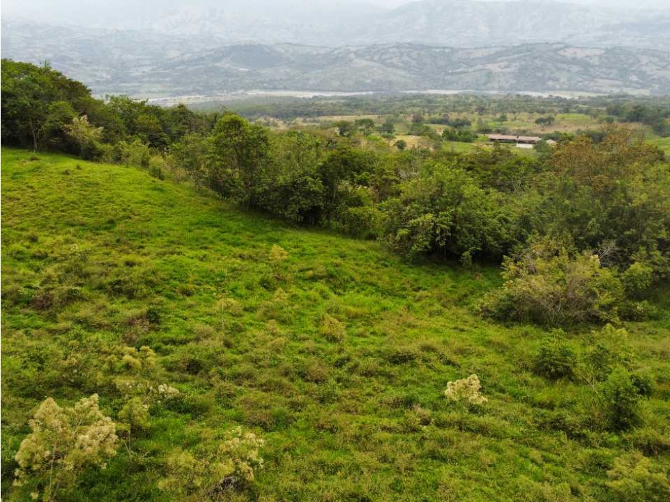 VENTA DE LOTE TAMESIS LA OCULTA, SUROESTE ANTIOQUEÑO - 5
