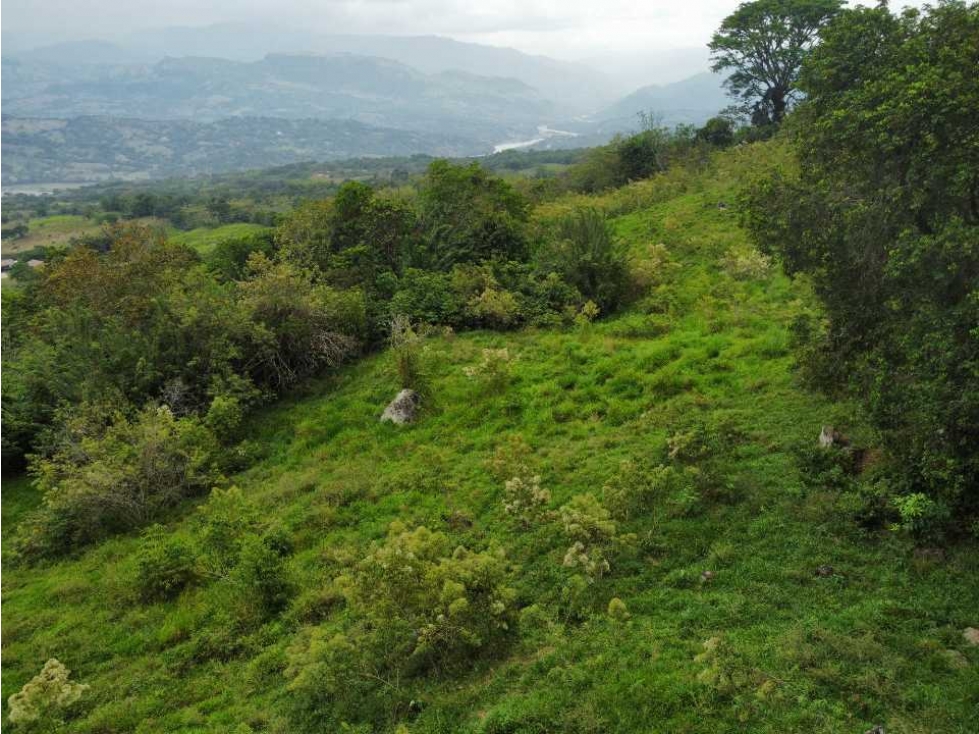 VENTA DE LOTE TAMESIS LA OCULTA, SUROESTE ANTIOQUEÑO - 6