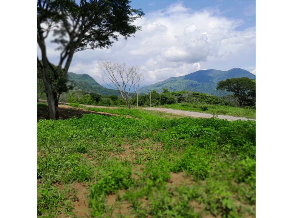 VENTA DE LOTE LA PINTADA, SUROESTE ANTIOQUEÑO. — foto 2