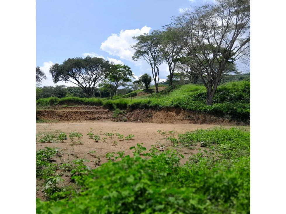 VENTA DE LOTE LA PINTADA, SUROESTE ANTIOQUEÑO. — foto 3