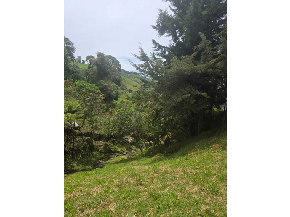 Venta de lote matasano 2.400m2 — foto 3