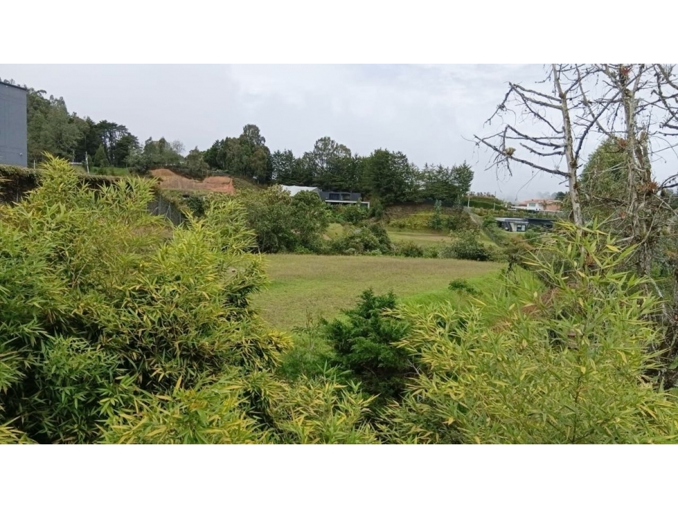 VENTA DE LOTE PLANO ALTO DE PALMAS. INDEPENDIENTE - 2