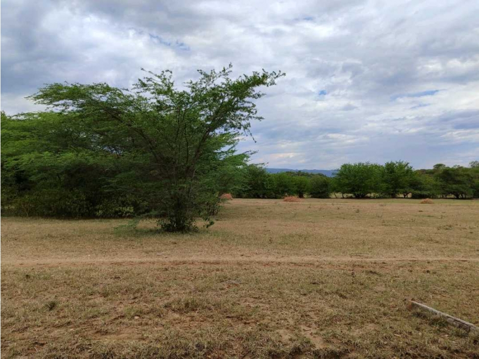 Venta de lote plano en Ricaurte - 1