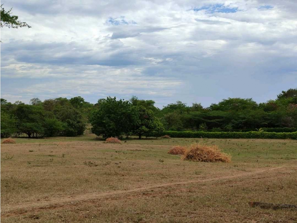 Venta de lote plano en Ricaurte - 2