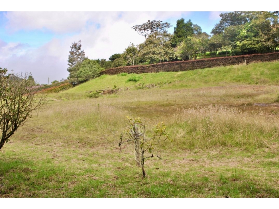 Venta de lote sector alto de las palmas Encenillos — foto 3