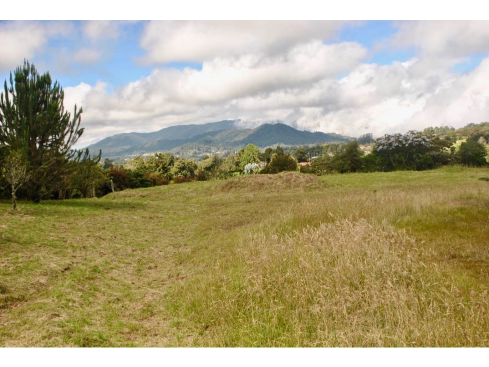Venta de lote sector alto de las palmas Encenillos — foto 5