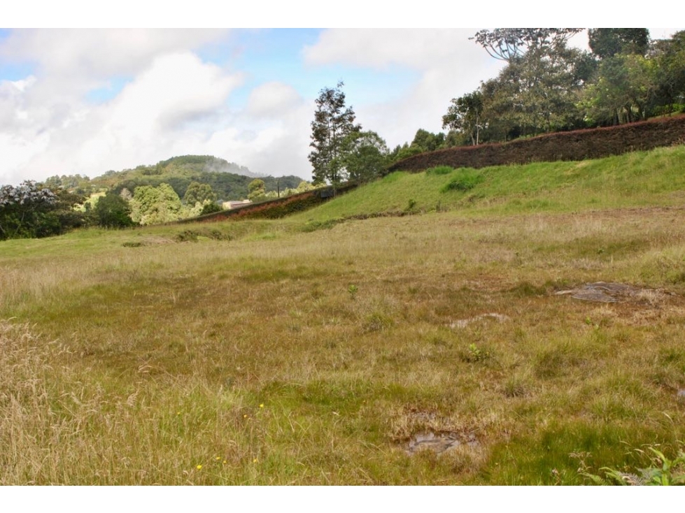 Venta de lote sector alto de las palmas Encenillos — foto 6