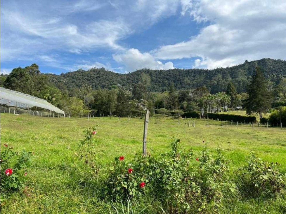 VENTA DE LOTE SECTOR DE LLANO GRANDE