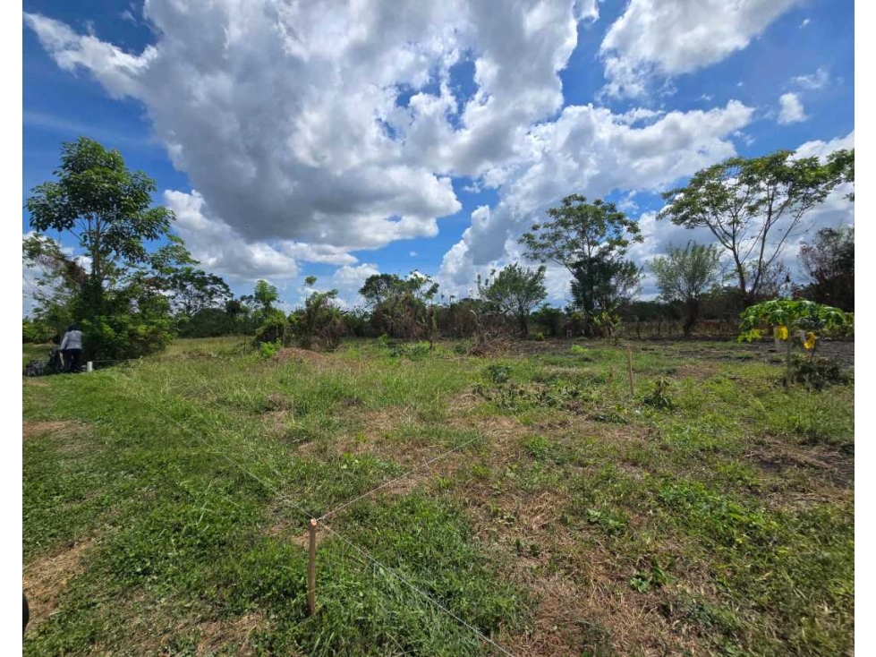 VENTA DE LOTE SECTOR EL FARO 2 ¡Invierte en tu futuro hoy!