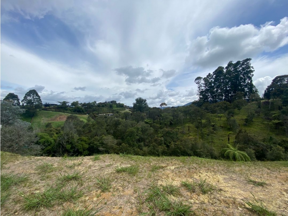 Venta de Lote sector la Ceja - Rionegro