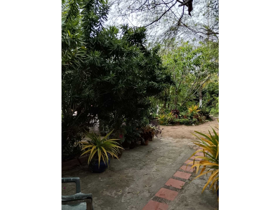 VENTA DE LOTE SECTOR LOMA DE ORO — foto 3