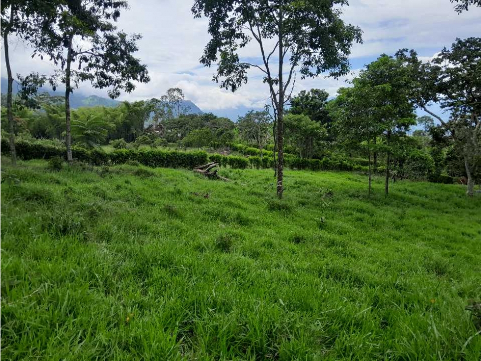 VENTA DE LOTE TAMESIS, SUROESTE ANTIOQUEÑO - 1