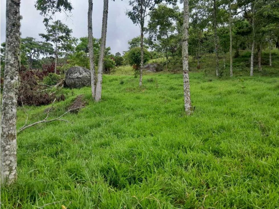 VENTA DE LOTE TAMESIS, SUROESTE ANTIOQUEÑO - 2