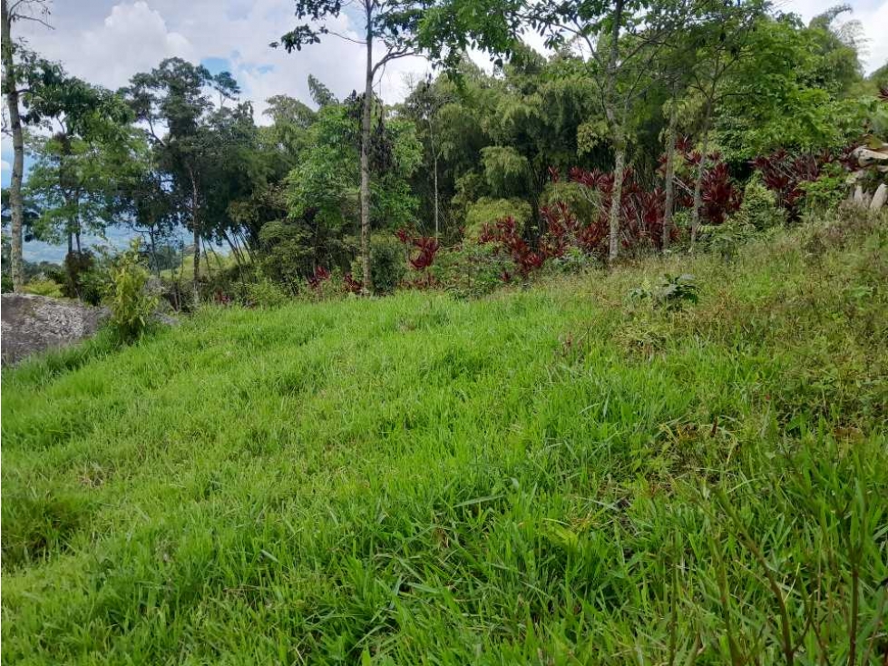 VENTA DE LOTE TAMESIS, SUROESTE ANTIOQUEÑO - 3