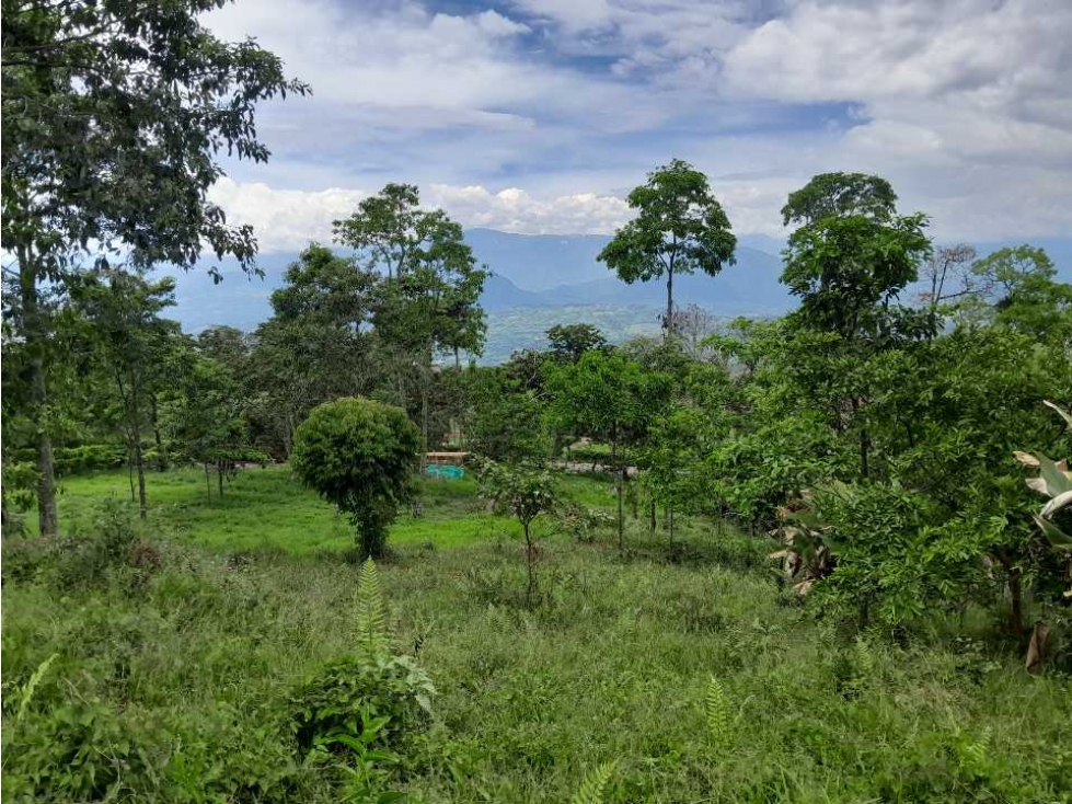 VENTA DE LOTE TAMESIS, SUROESTE ANTIOQUEÑO - 5