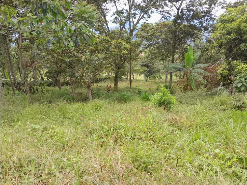 VENTA DE LOTE TAMESIS, SUROESTE ANTIOQUEÑO - 6