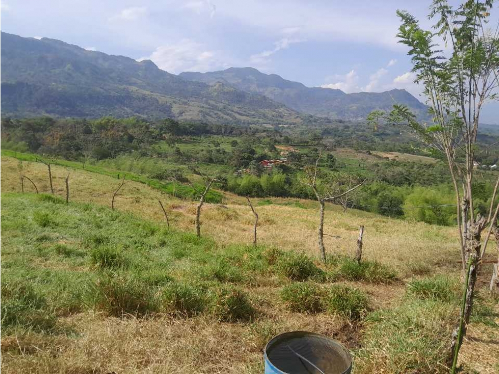 VENTA DE LOTE TAMESIS, SUROESTE ANTIOQUEÑO. - 1