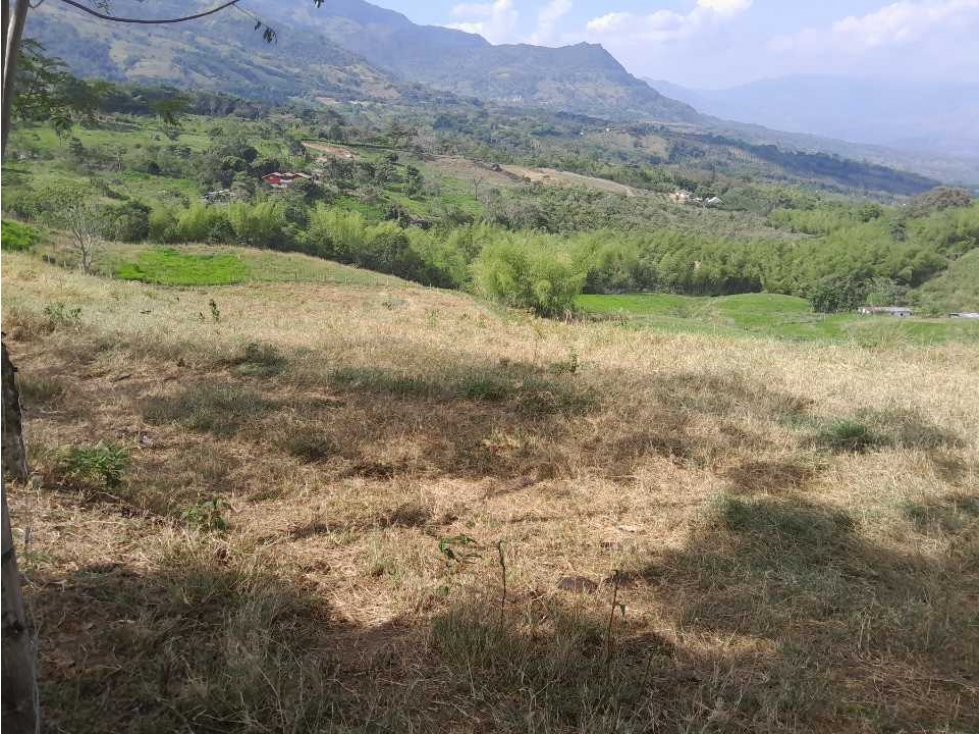 VENTA DE LOTE TAMESIS, SUROESTE ANTIOQUEÑO. - 3