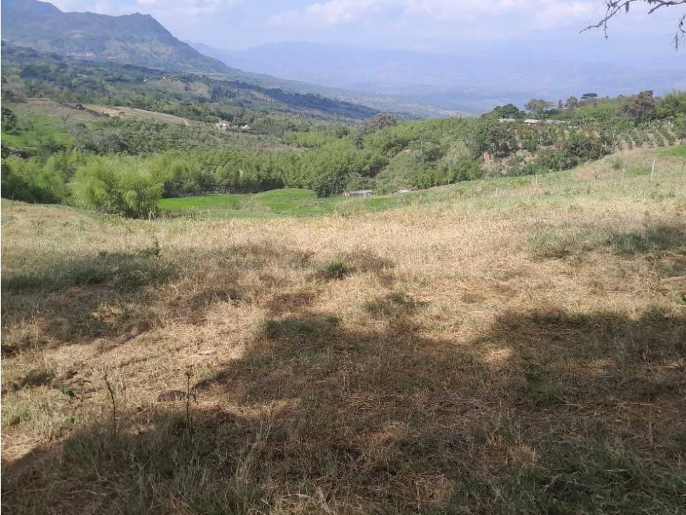 VENTA DE LOTE TAMESIS, SUROESTE ANTIOQUEÑO. - 5