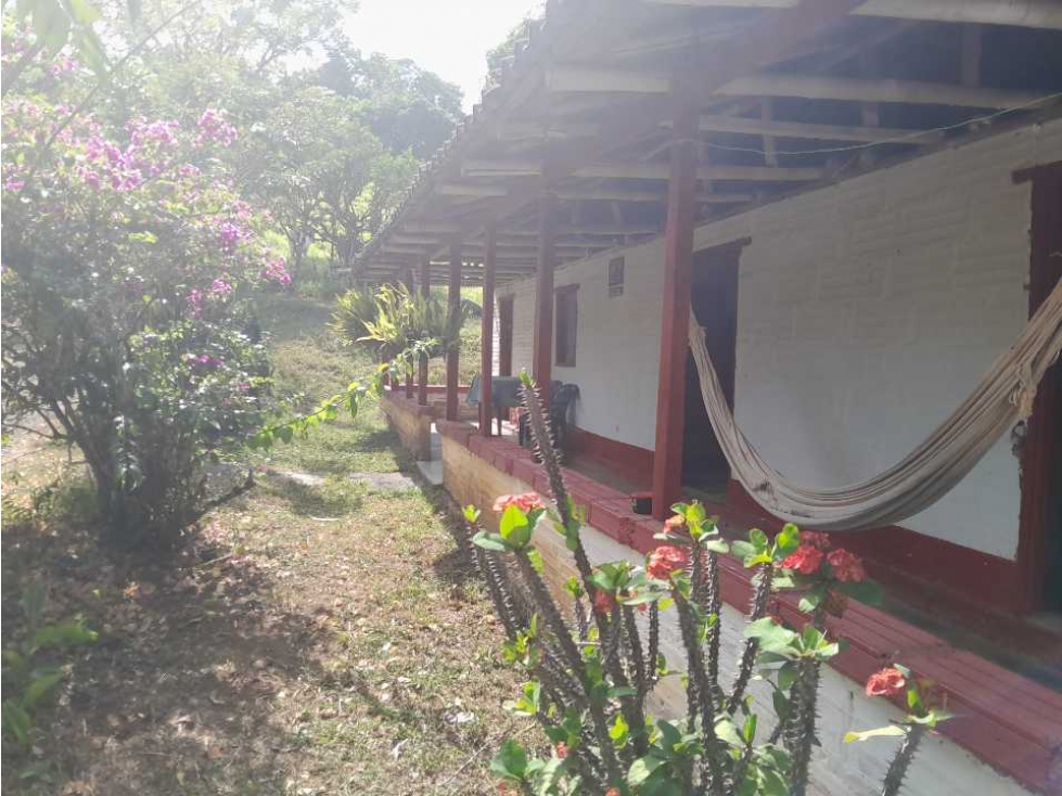 VENTA DE LOTE TAMESIS, SUROESTE ANTIOQUEÑO. - 6
