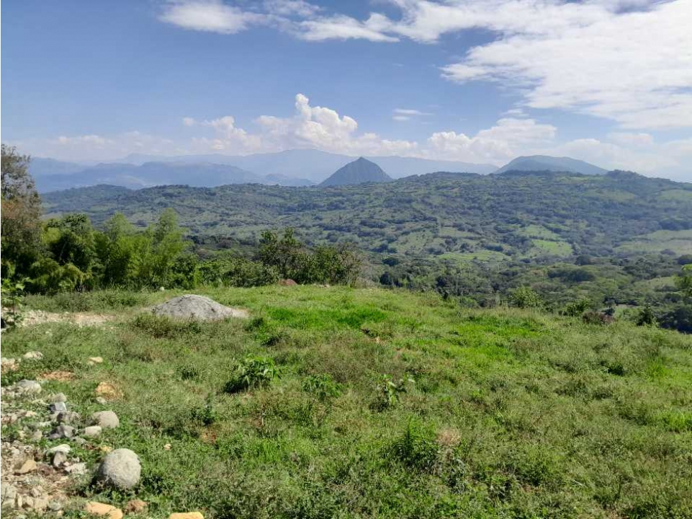 VENTA DE LOTE TAMESIS, SUROESTE ANTIOQUEÑO - 1