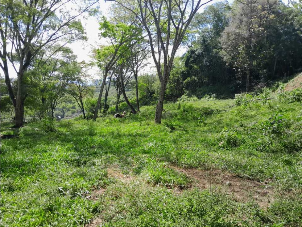 VENTA DE LOTE TAMESIS, SUROESTE ANTIOQUEÑO - 2