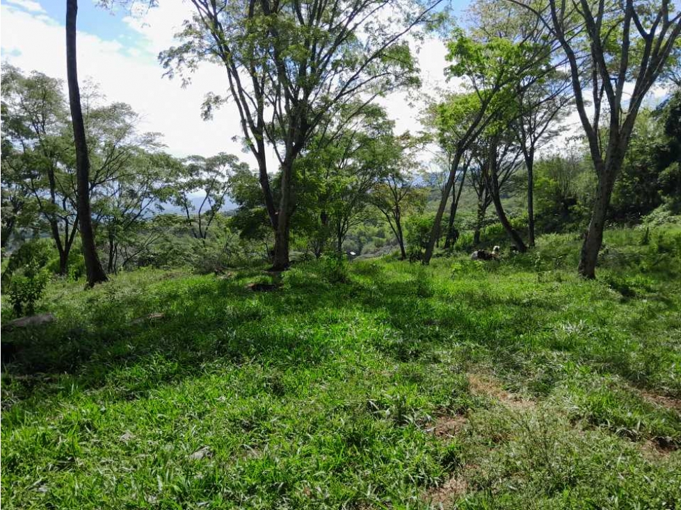 VENTA DE LOTE TAMESIS, SUROESTE ANTIOQUEÑO - 3
