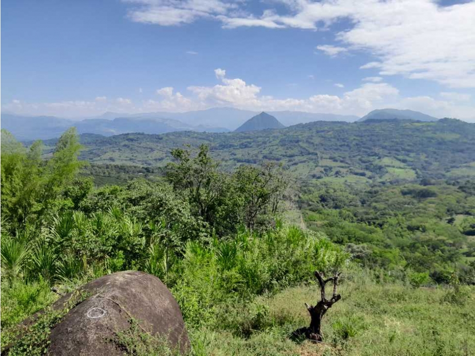 VENTA DE LOTE TAMESIS, SUROESTE ANTIOQUEÑO - 4