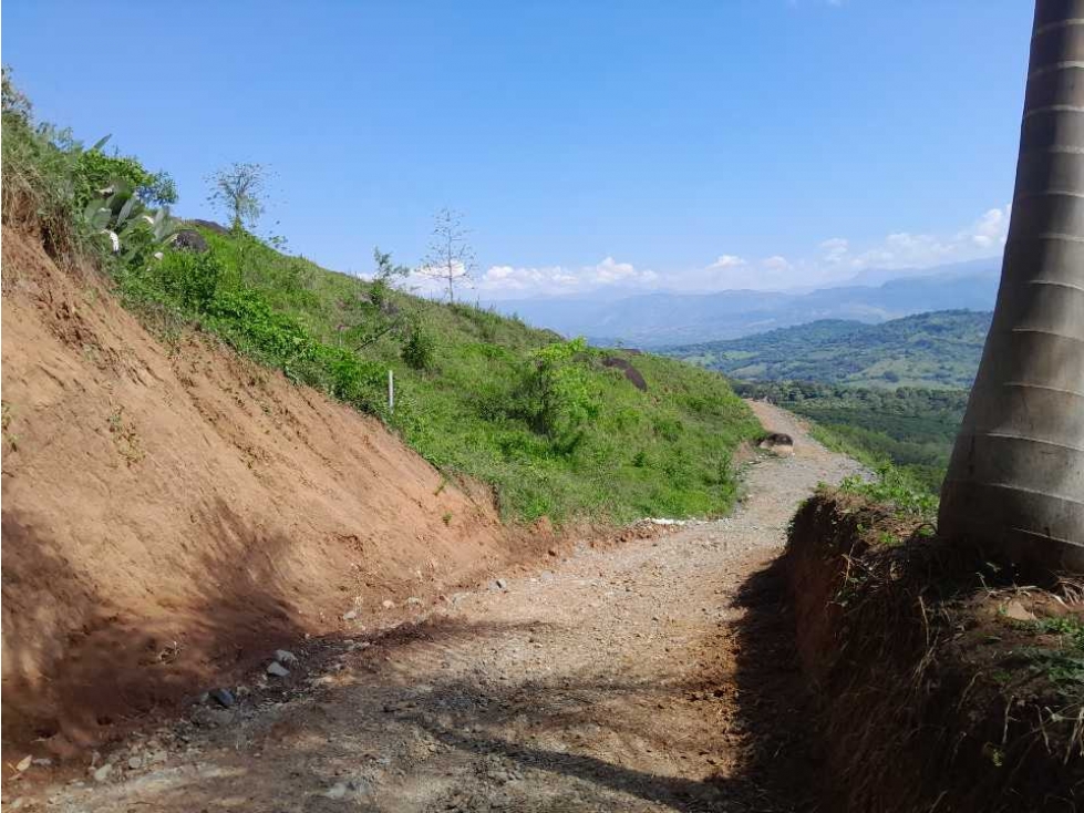 VENTA DE LOTE TAMESIS, SUROESTE ANTIOQUEÑO - 5